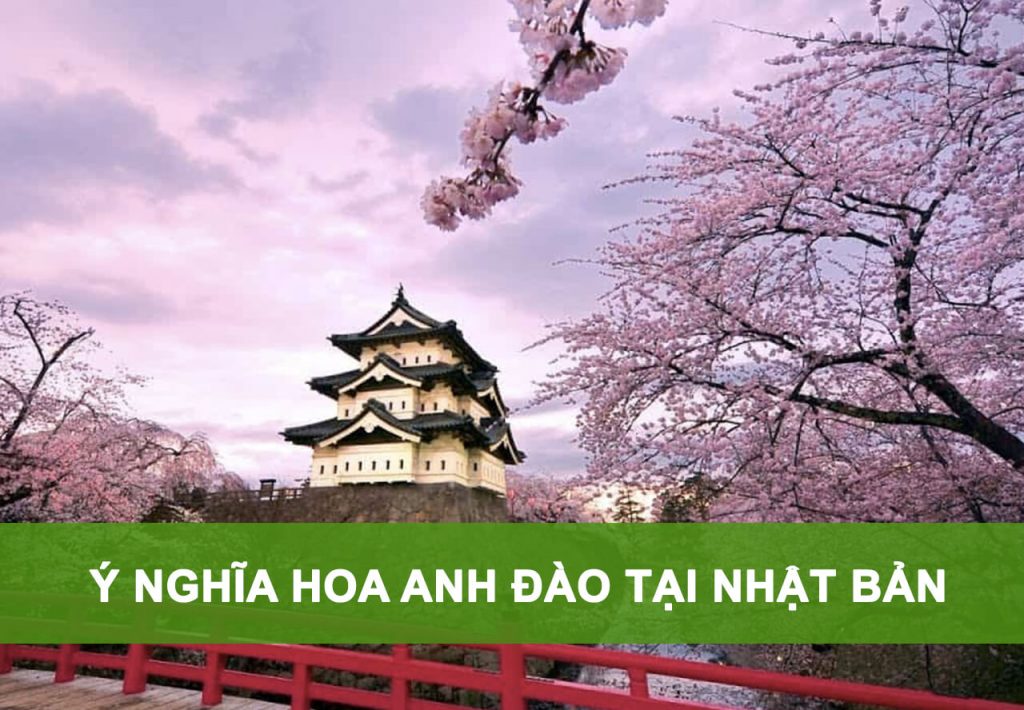 ý nghĩa hoa anh đào tại nhật bản