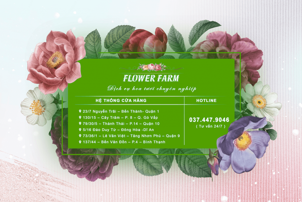 shop hoa flowerfarm