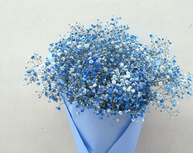 Top 90 hình nền hoa baby xanh hay nhất  thdonghoadian