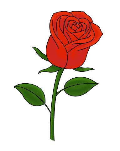 Học vẽ 8 cách vẽ hoa hồng dễ như ăn kẹo  Hình vẽ hoa hồng Hình xăm  Học vẽ