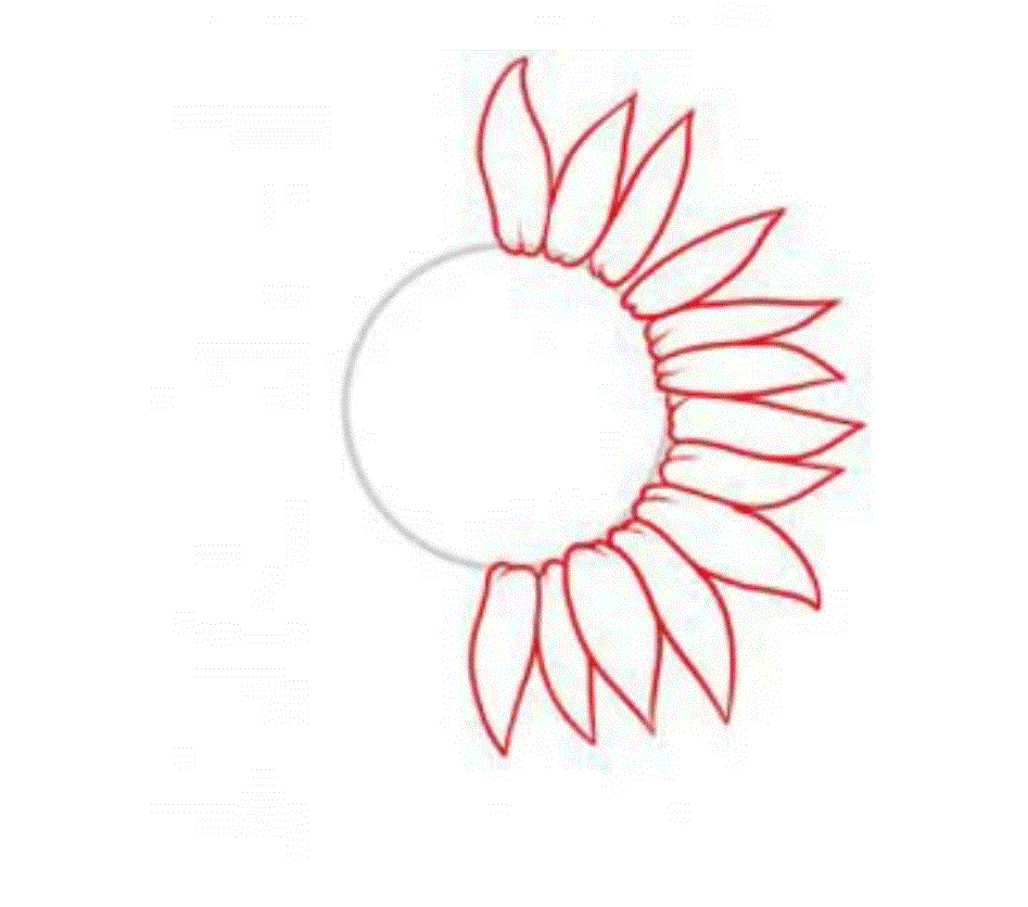 Vẽ hoa trang trí góc giấy A4: Cùng đắm mình trong những màu sắc rực rỡ, các chi tiết hoa lá tinh tế được vẽ trên góc giấy A