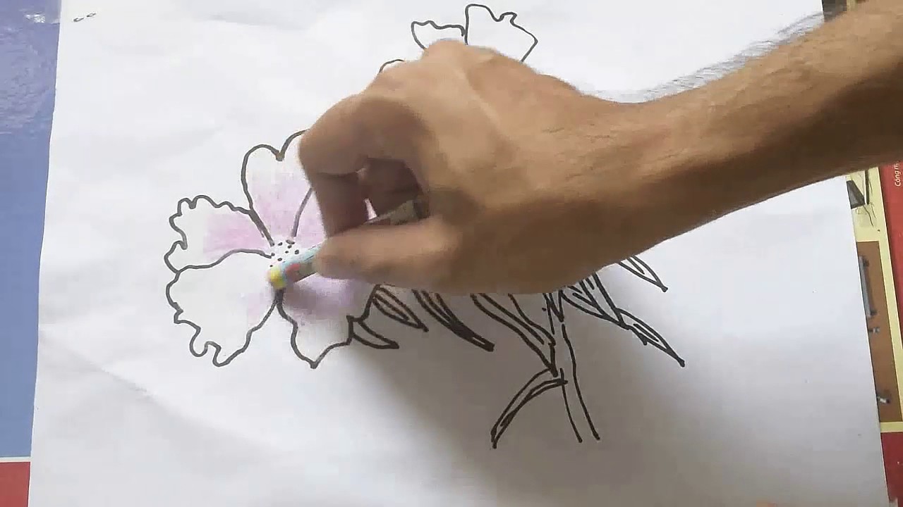 Vẽ hoa 10 giờ: Bức tranh vẽ hoa sẽ khiến bạn thỏa mãn cả tinh thần và mỹ quan. Tận hưởng không khí yên bình khi nhấp một ngụm cà phê và thư giãn trong tiếng viết bút lướt trên giấy.