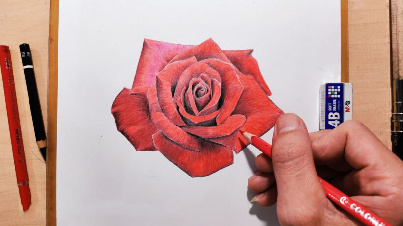 Cách vẽ hoa hồng đơn giản hoa hồng 3d cách điệu bằng hình trái tim THCS Võ Thị Sáu