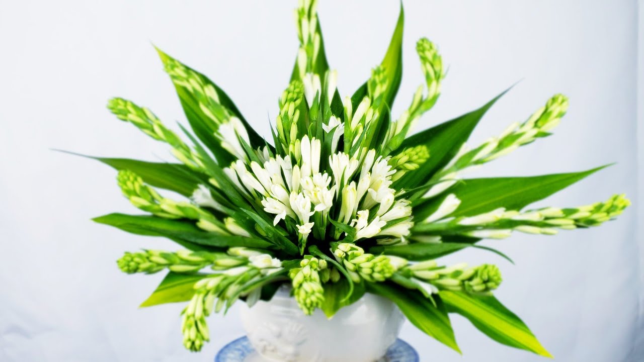 cách cắm hoa huệ trắng để bàn thờ trang trọng nhất