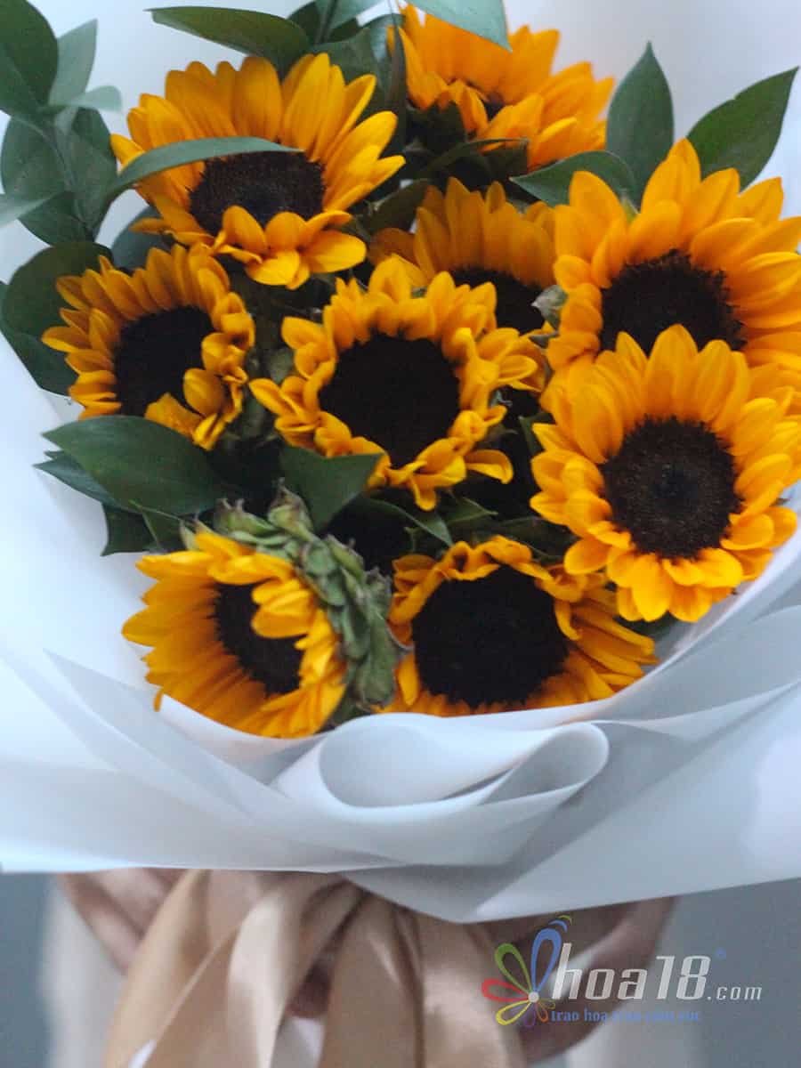 Bó hoa tươi là bức tranh hoa hướng dương rực rỡ ánh mặt trời hoa tươi hướng dương
