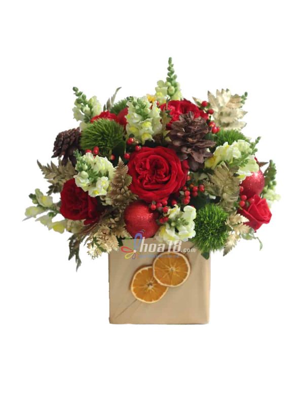 Lựa chọn hoa giáng sinh tại gửi tặng người thân yêu hoa noel