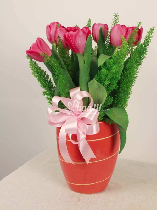 Bình hoa văn phòng với tulip ngọt ngào Làm gì để thương hiệu Việt đứng vững?-Hoa18.com