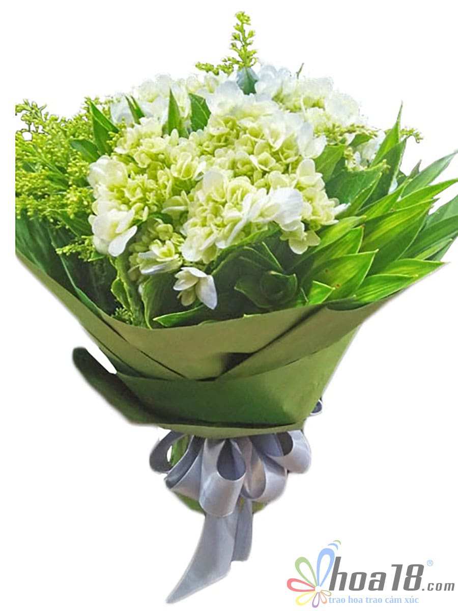 Bó Hoa Dấu yêu ơi Bó Hoa Dấu yêu ơi