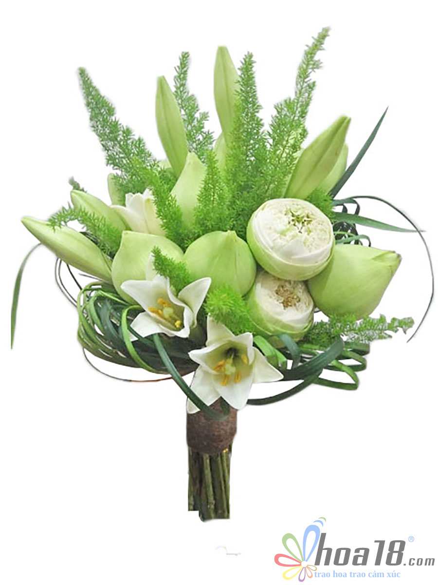 Bó hoa sen xanh non đặc biệt Hoa tươi