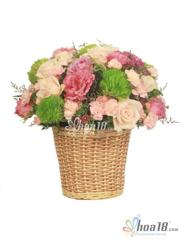 Màu hồng dịu dàng lan tỏa yêu thương chân thành hoa tươi quận 5