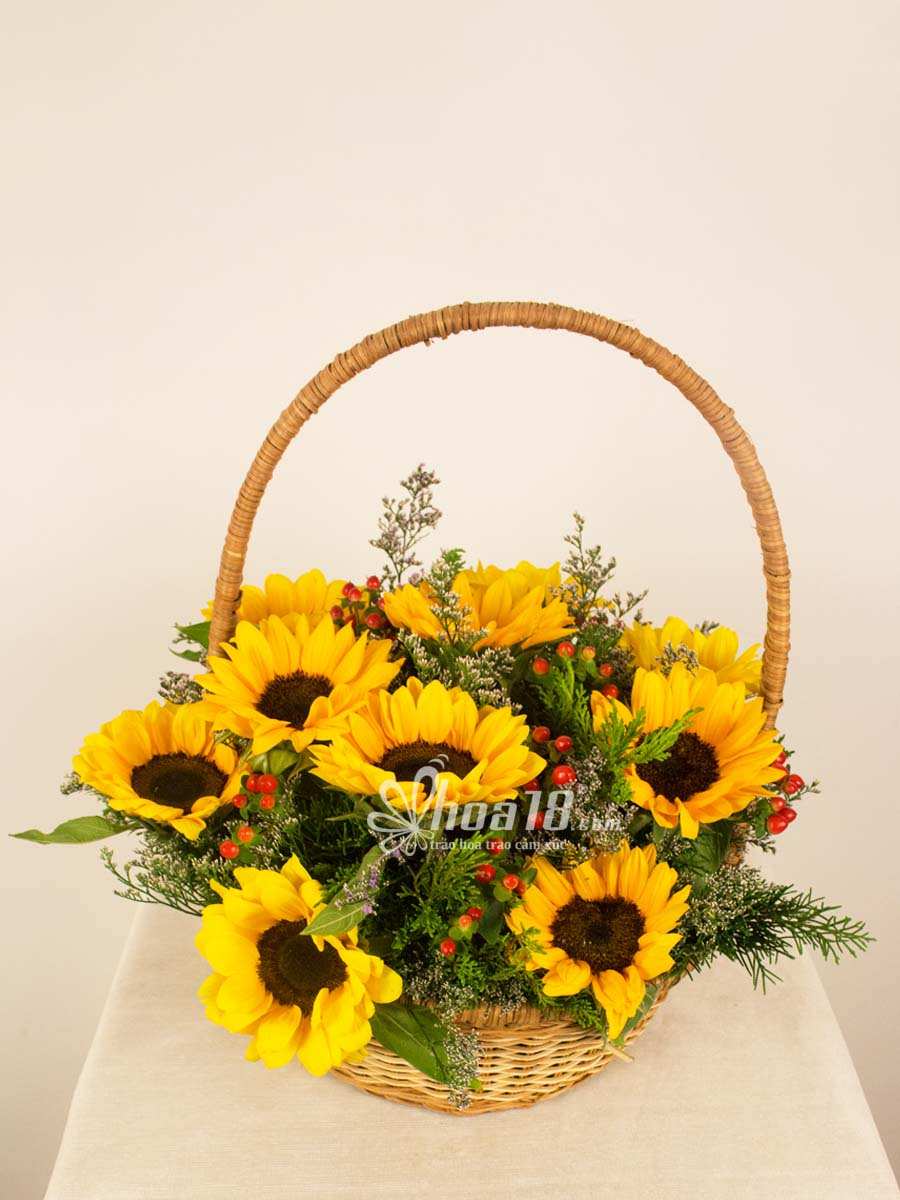 Thiết kế hoa tươi ấn tượng Hoa tươi đẹp