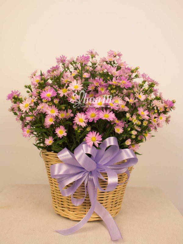 Lựa chọn hoa tươi đẹp mang lại bất ngờ tuyệt vời cho người thương Cách cắm hoa nghệ thuật theo chủ đề 20 tháng 10 - Hoa18.com