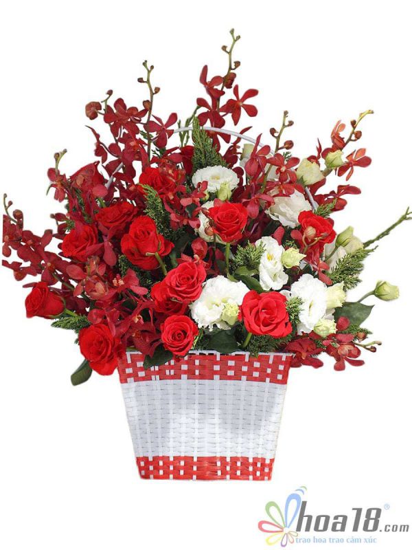 Lựa chọn hoa tươi đẹp mang lại bất ngờ tuyệt vời cho người thương Những giỏ hoa phong lan đẹp nhất - Hoa18.com