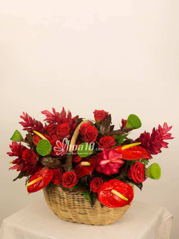 Thiết kế hoa tươi đơn giản nhưng đầy đủ chân thành Giỏ hoa chúc mừng đẹp nhất - Hoa18.com