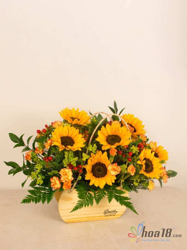 Hoa hướng dương tặng thầy cô ngày 20/11 hoa 20/11