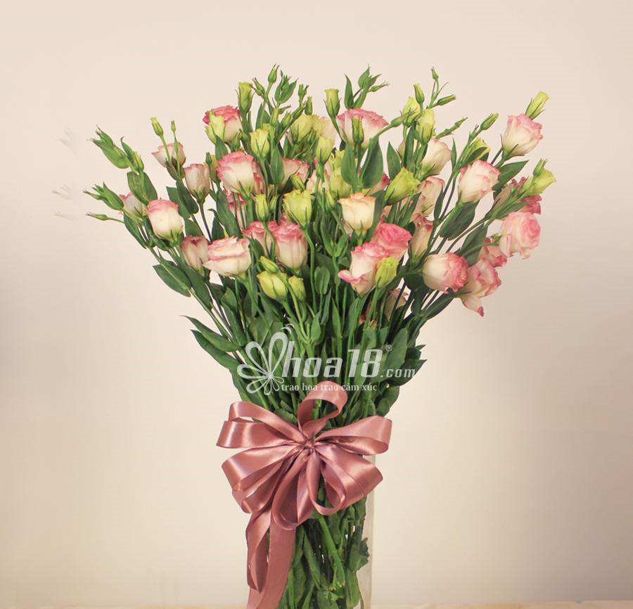 Hoa cát tường đẹp tại shop hoa tươi Hoa18 hoa cát tường