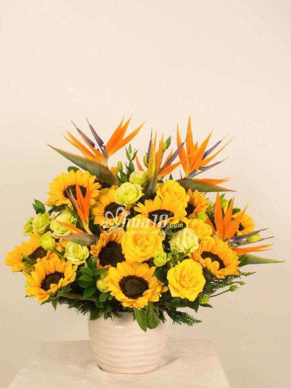 Sức sống tươi trẻ mang đến cảm xúc thăng hoa từ hoa tươi Hoa tươi cao cấp và những điều bạn cần lưu ý khi đặt mua - Hoa18.com