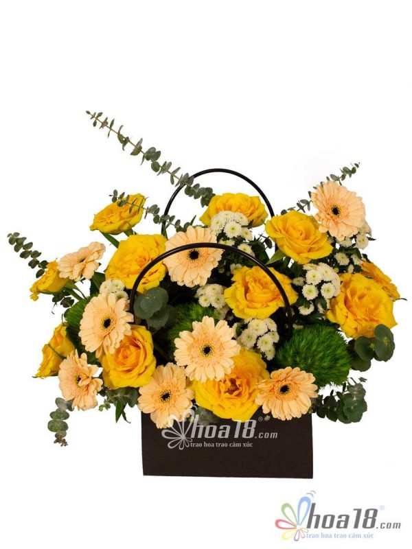 Hoa đồng tiền cũng là một trong những Hoa chúc nừng doanh nhân không thể bỏ qua Hoa chúc mừng ngày Doanh nhân Việt Nam