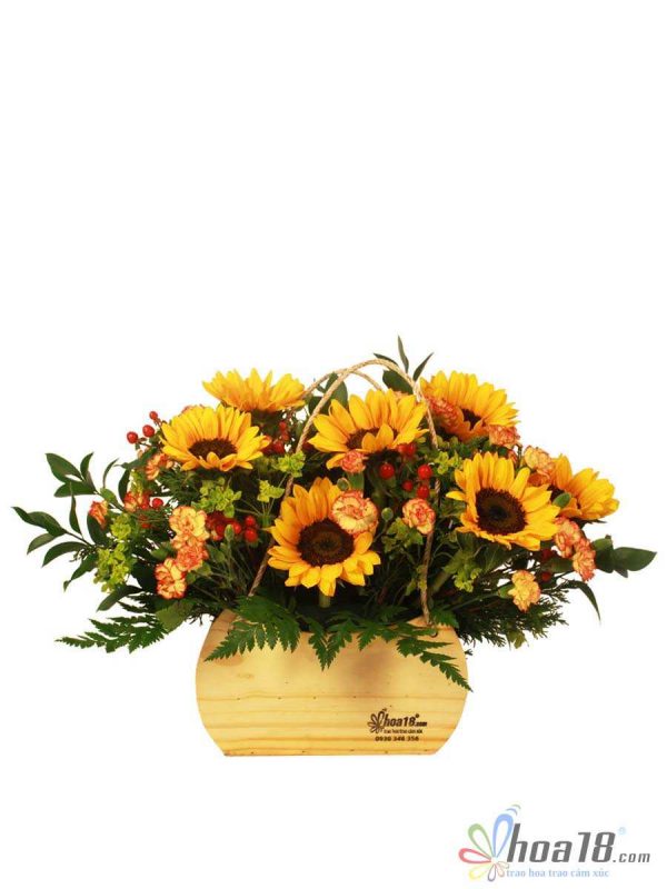 Với sắc vàng rực rỡ, hoa hướng dương chắn chắc sẽ là hoa tặng 20/11 đẹp sang trọng hoa 20/11
