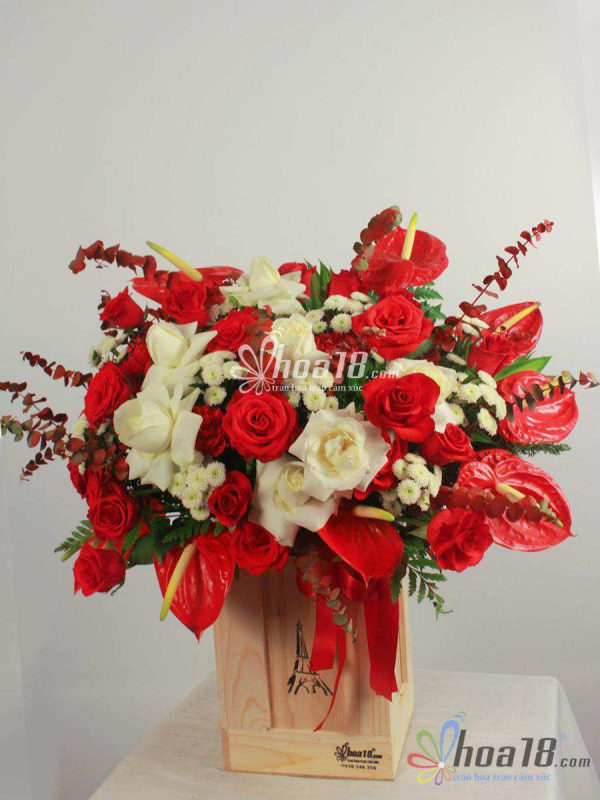 Cánh hoa hồng môn đỏ như tình cảm sâu đậm của ông dành đến bà hoa hồng môn